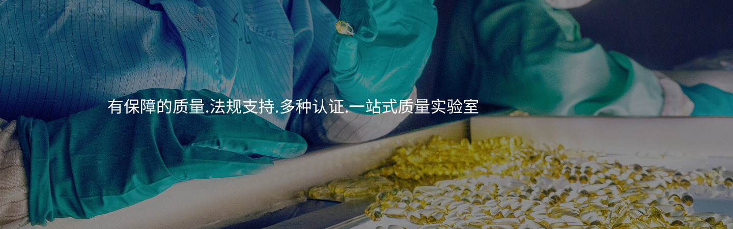 banner-质量 (2)